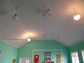 2003-02-104-47-01.jpg