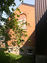 2003-06-150-05-01.jpg