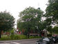 2003-06-178-08-02.jpg
