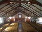 2003-06-379-49-01.jpg