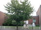 2003-06-440-01-01.jpg