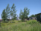 2003-08-056-28-01.jpg