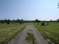 2003-08-104-14-01.jpg