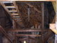 2003-11-035-47-07.jpg