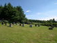 2003-11-078-14-01.jpg