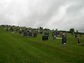 2003-11-086-14-01.jpg