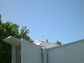 2003-12-063-09-02.jpg