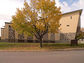 2003-13-022-02-02.jpg