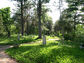 2003-16-023-14-01.jpg