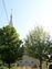 2003-16-062-01-01.jpg