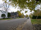 2003-16-378-29-01.jpg