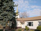 2003-16-389-08-01.jpg