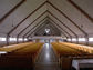 2003-17-056-37-01.jpg