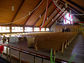 2003-14-018-35-01.jpg